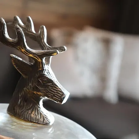 Blanc 브루일서비니아