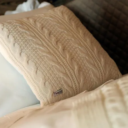 샬레 Blanc 브루일서비니아