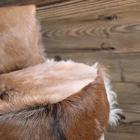 Blanc * 브루일서비니아